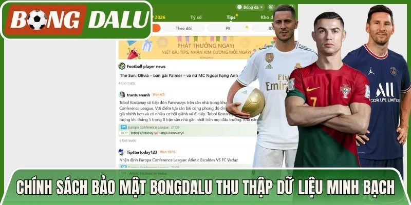 Chính sách bảo mật Bongdalu thu thập dữ liệu minh bạch