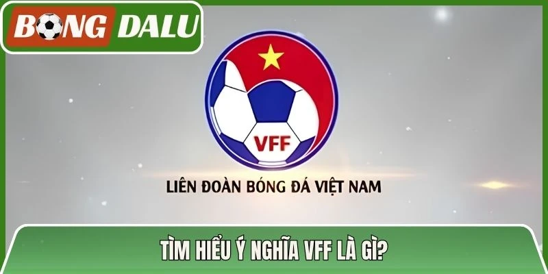 Tìm hiểu ý nghĩa VFF là gì?