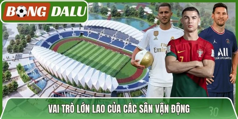 Vai trò lớn lao của các sân vận động