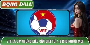 Vff Là Gì? Những Điều Cần Biết Từ A-Z Cho Người Mới